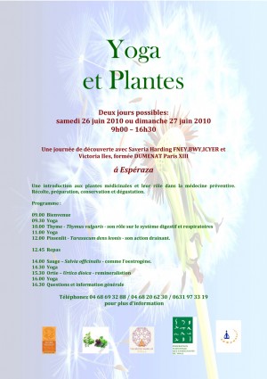 Yoga et plantes near rennes le chateau